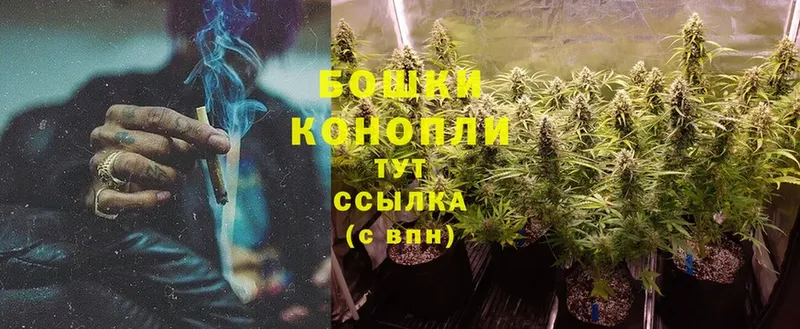 Шишки марихуана THC 21%  Кувандык 